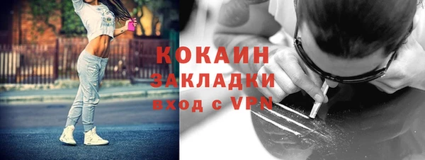 винт Бикин