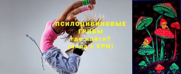 молекула духа Арсеньев