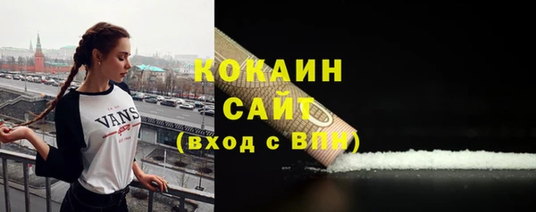 молекула духа Арсеньев