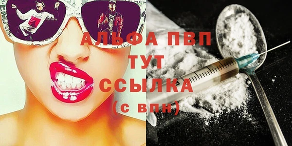 гашик Няндома