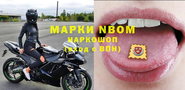 молекула духа Арсеньев