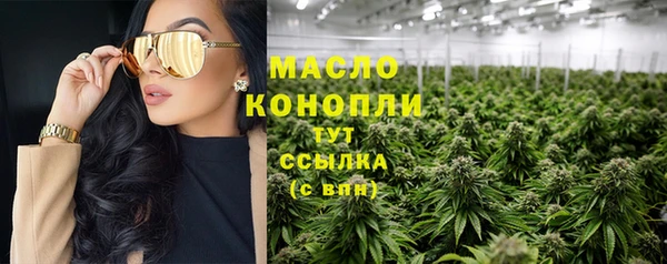 молекула духа Арсеньев