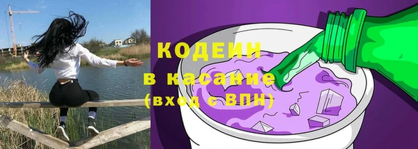 гашик Алексин
