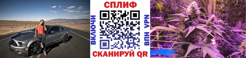 Бошки Шишки конопля  MEGA ссылка  Сусуман 